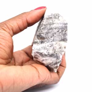 Zebra jasper rock