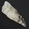 Zebra Jasper Stone - 2