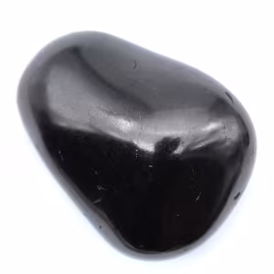 Decorative polished shungite
