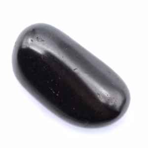 Ornamental shungite