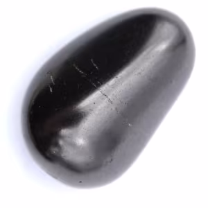 Collectible shungite