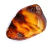 Polished amber pebble - 0
