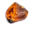 Yellow fossil amber - 0