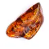Fossil amber - 0