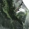Ornamental polished nephrite jade - 7