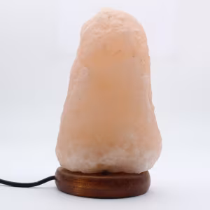 Pink salt lamp from Pakistan