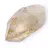 Raw rock crystal
