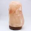 Himalayan Pink Salt Lamp - 3