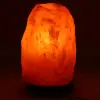 Himalayan Pink Salt Lamp - 1