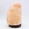 Himalayan Pink Salt Lamp - 2