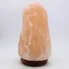 Himalayan Pink Salt Lamp - 5