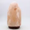 Himalayan Pink Salt Lamp - 2