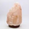 Himalayan Pink Salt Lamp - 3