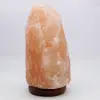 Himalayan Pink Salt Lamp - 4