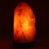 Himalayan Pink Salt Lamp - 1
