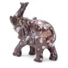 Elephant - 2