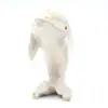 Dolphin - 1