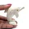 Dolphin - 3