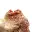 Crystalized vanadinite — 2