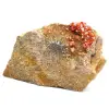 Natural vanadinite - 3