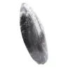 Orthoceras fossil Morocco - 2