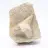 Fossil tooth on gangue