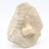 Fossil otodus shark tooth - 0