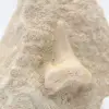Fossil otodus shark tooth - 1