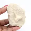 Fossil otodus shark tooth - 2