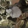 Large pyrite crystals with calcite - 10