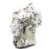 Pyrite on matrix with calcite and quartz - 2
