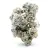 Crystallized pyrite