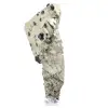 Natural pyrite on base - 5