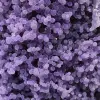 Chalcedony grape cluster - 15