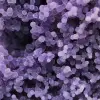 Chalcedony grape cluster - 19