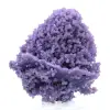 Chalcedony grape cluster - 6