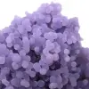 Chalcedony grape cluster - 16