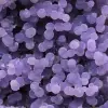 Chalcedony grape cluster - 17
