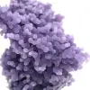 Grape Cluster Chalcedony - 10