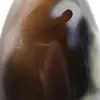 Ornamental Agate - 8