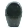 Polished Green Jasper rock - 2