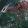 Ornamental Green Jasper - 9