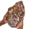 Polished Natural Fossilized Wood - 0
