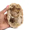Polished silicified wood from Madagascar - 0