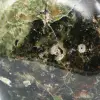 Natural Chrysoprase for decoration - 6