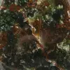 Natural Chrysoprase - 6