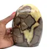 Natural Septaria for collection - 0