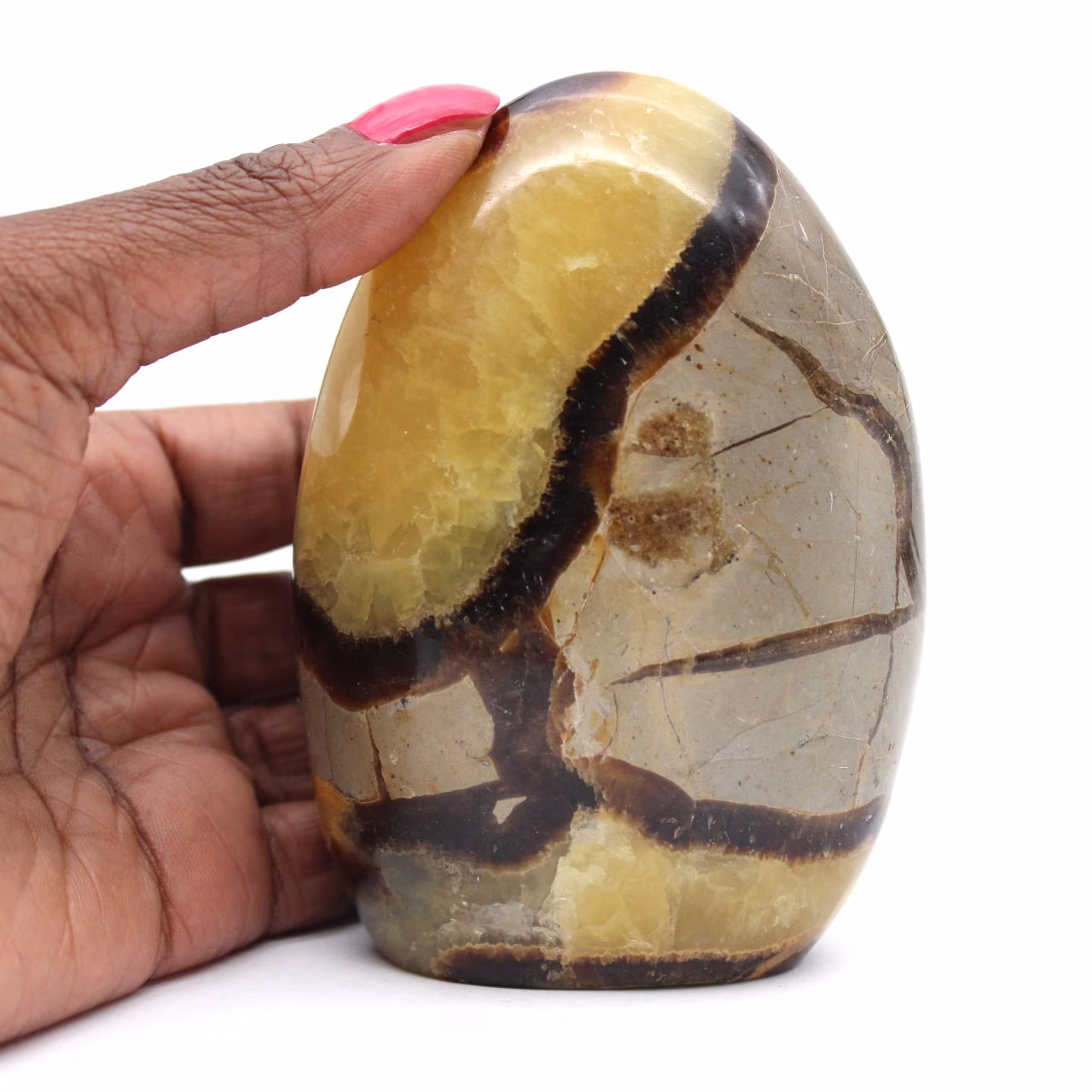 Paperweight in Septaria
