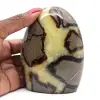 Natural Septaria rock - 0