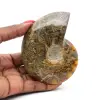 Whole polished ammonite from Madagascar - 0
